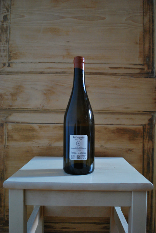 2024 Weißburgunder