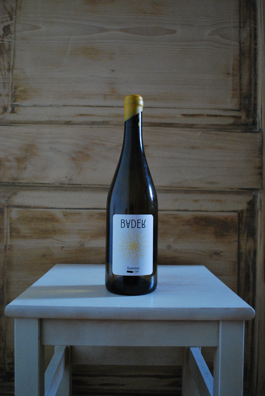 2024 Auxerrois
